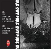Pure Gut cover